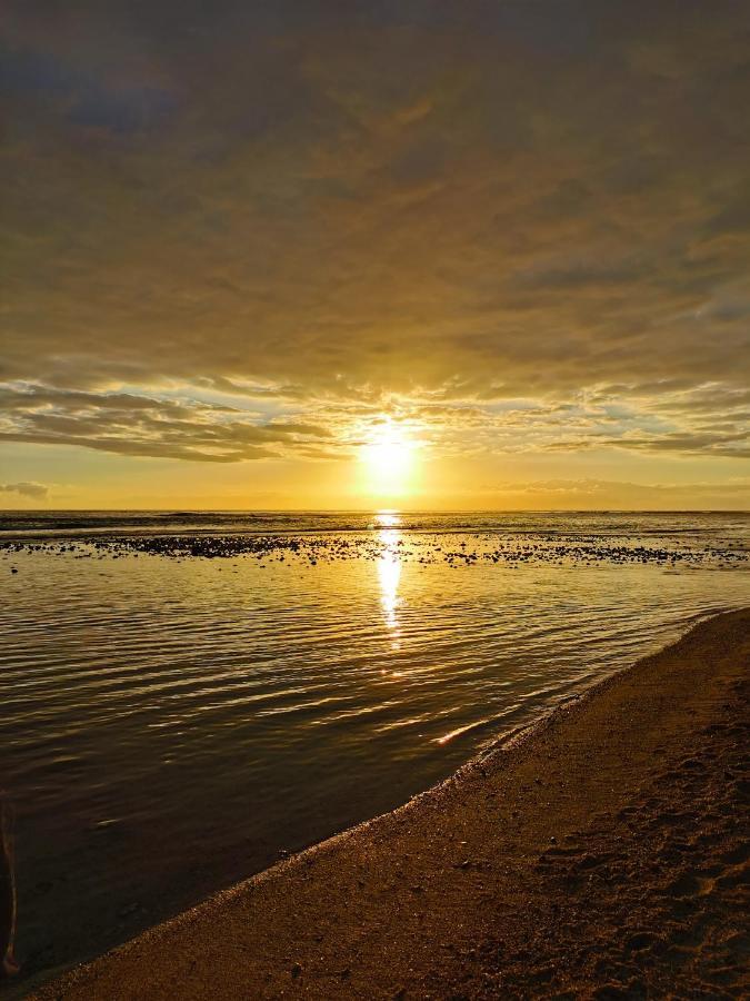 Au Bord De L'Eau La Saline Les Bains Daire Dış mekan fotoğraf